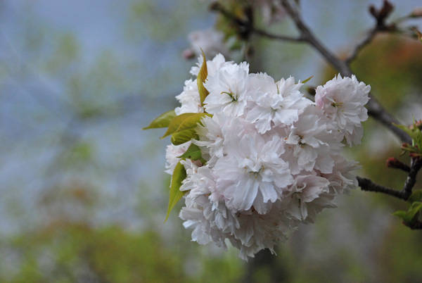 f:id:htym67:20110425230817j:image f:id:htym67:20110425230817j:image
