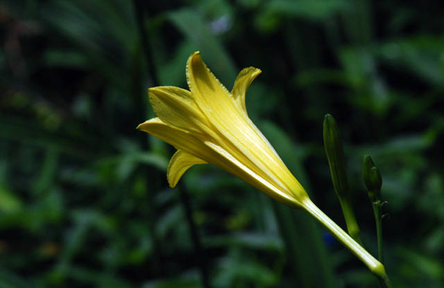 f:id:htym67:20110720213359j:image f:id:htym67:20110720213359j:image