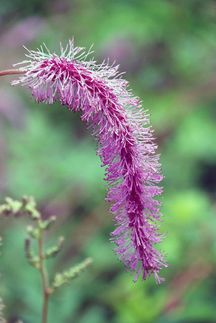f:id:htym67:20110720213843j:image f:id:htym67:20110720213843j:image