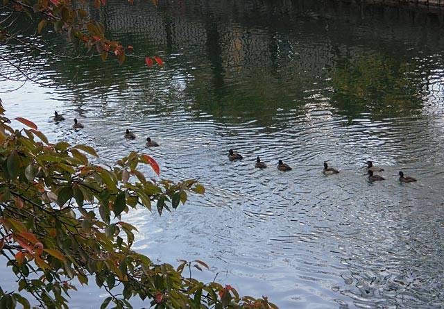 f:id:htym67:20111110171823j:image f:id:htym67:20111110171823j:image