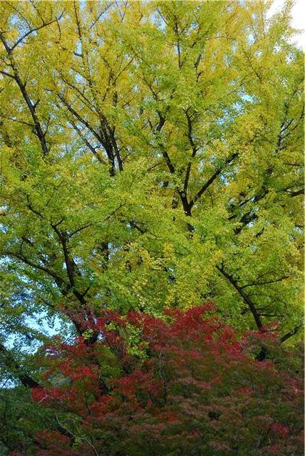 f:id:htym67:20111117104825j:image f:id:htym67:20111117104825j:image