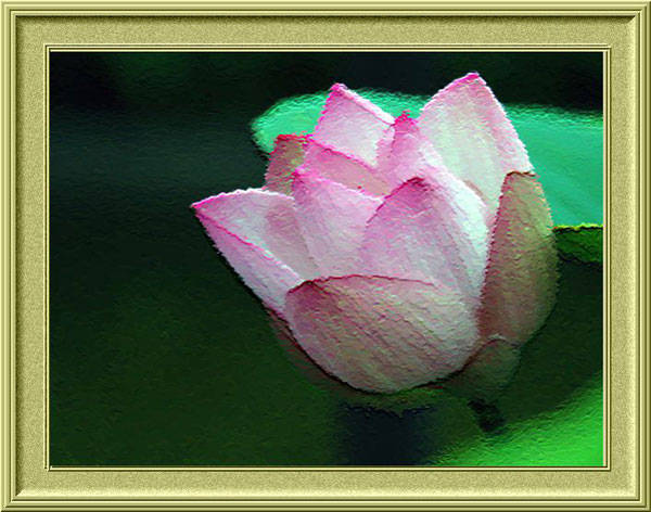 f:id:htym67:20120225161844j:image f:id:htym67:20120225161844j:image