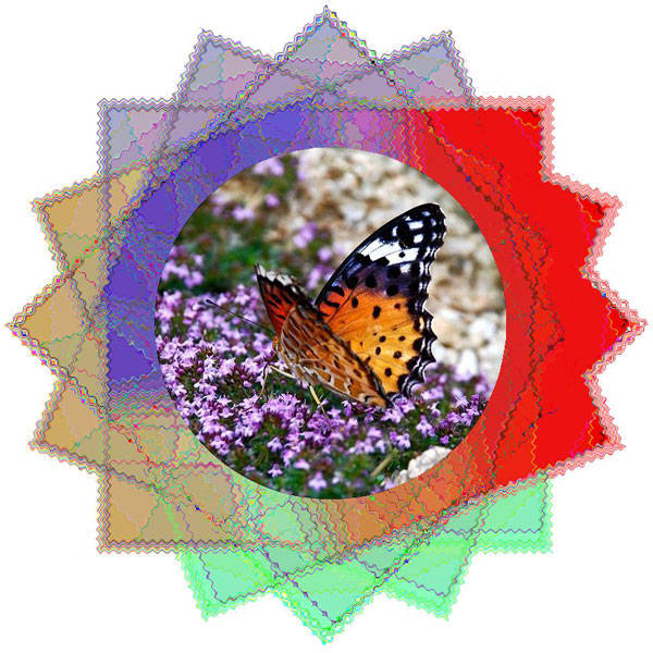f:id:htym67:20120225162750j:image f:id:htym67:20120225162750j:image