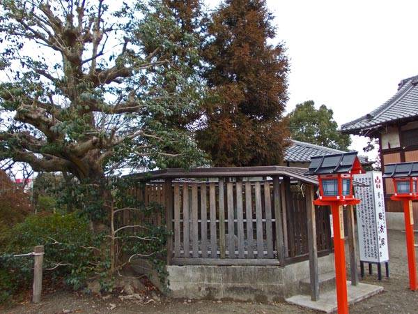 f:id:htym67:20120227172914j:image f:id:htym67:20120227172914j:image