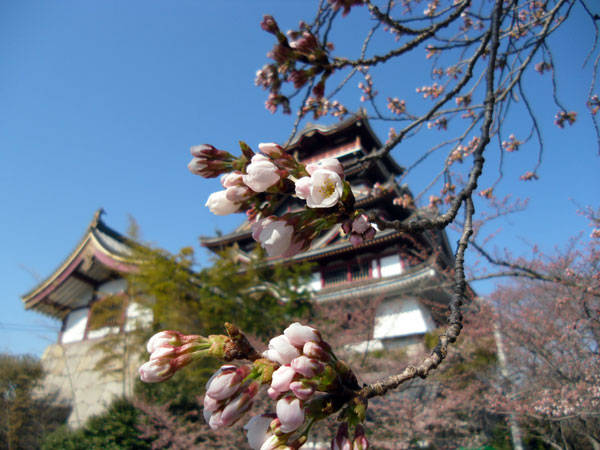 f:id:htym67:20120408222503j:image f:id:htym67:20120408222503j:image