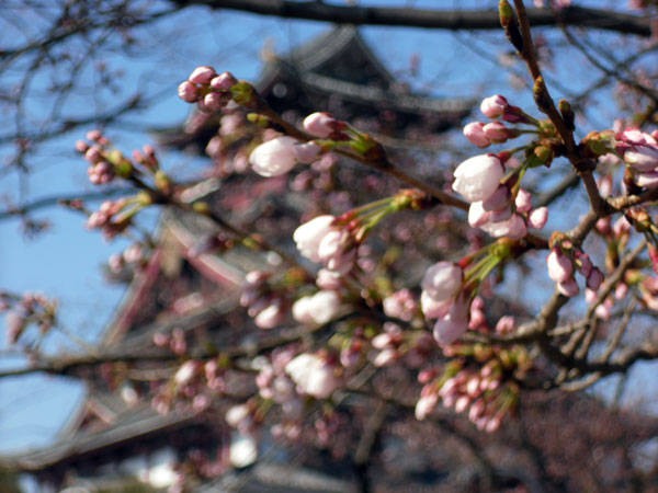 f:id:htym67:20120408222601j:image f:id:htym67:20120408222601j:image