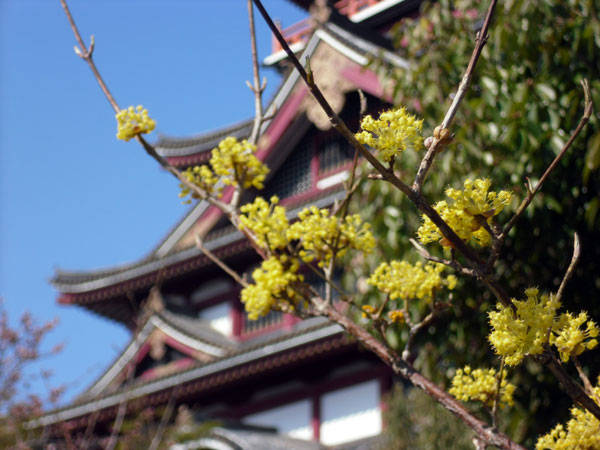 f:id:htym67:20120408222649j:image f:id:htym67:20120408222649j:image