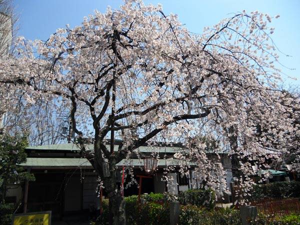 f:id:htym67:20120408222955j:image f:id:htym67:20120408222955j:image