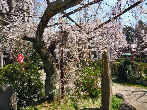 f:id:htym67:20120408223039j:image f:id:htym67:20120408223039j:image