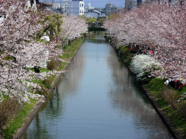 f:id:htym67:20120408223146j:image f:id:htym67:20120408223146j:image