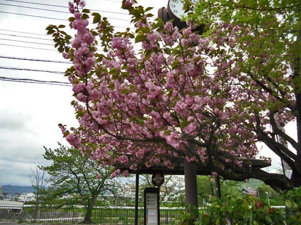 f:id:htym67:20120429153148j:image f:id:htym67:20120429153148j:image