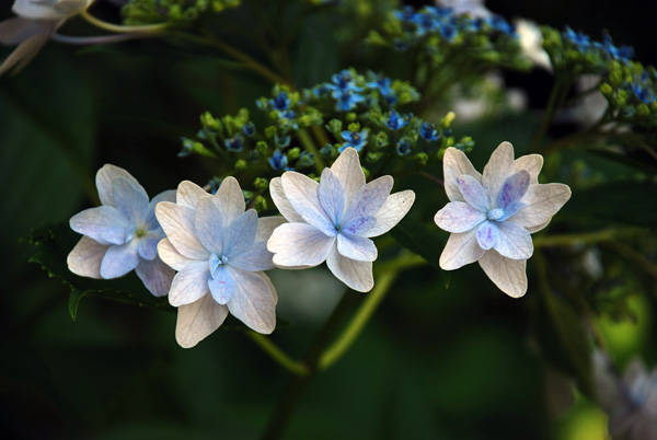 f:id:htym67:20120628150935j:image f:id:htym67:20120628150935j:image