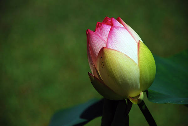 f:id:htym67:20120628150936j:image f:id:htym67:20120628150936j:image
