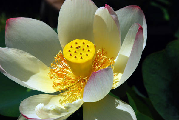 f:id:htym67:20120628150937j:image f:id:htym67:20120628150937j:image