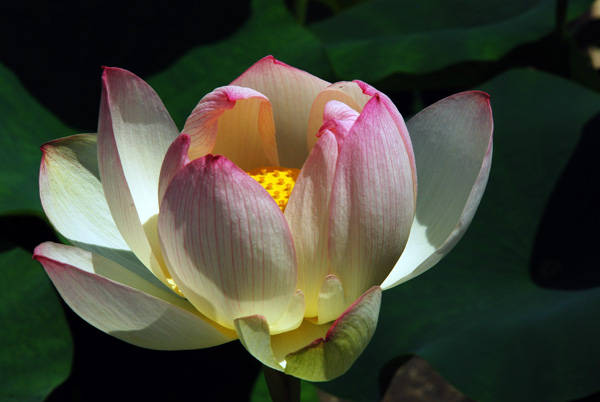 f:id:htym67:20120628150938j:image f:id:htym67:20120628150938j:image