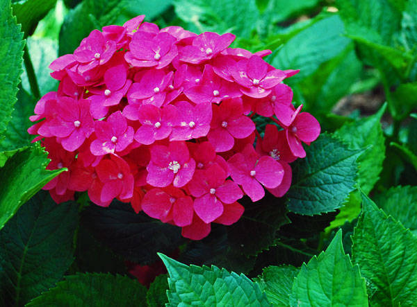 f:id:htym67:20120628151247j:image f:id:htym67:20120628151247j:image