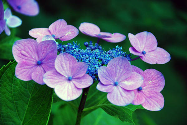 f:id:htym67:20120628151248j:image f:id:htym67:20120628151248j:image