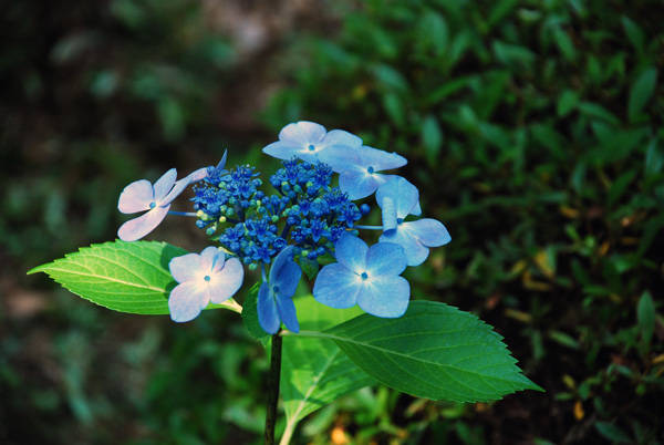 f:id:htym67:20120628151249j:image f:id:htym67:20120628151249j:image