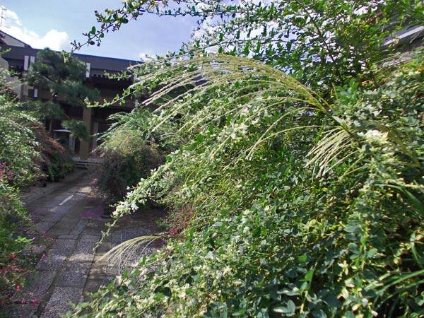 f:id:htym67:20120919143304j:image