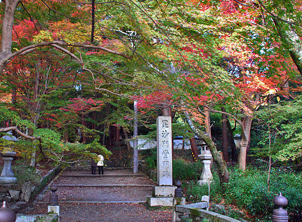 f:id:htym67:20121116221617j:image