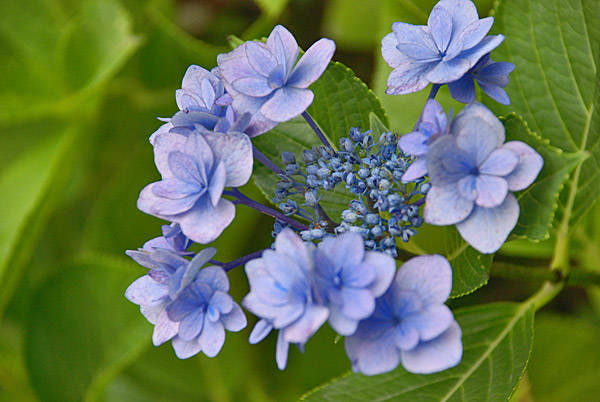 f:id:htym67:20130703172103j:image