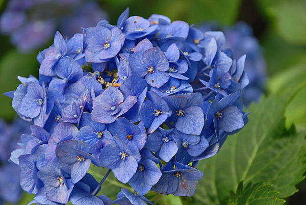 f:id:htym67:20130703172159j:image