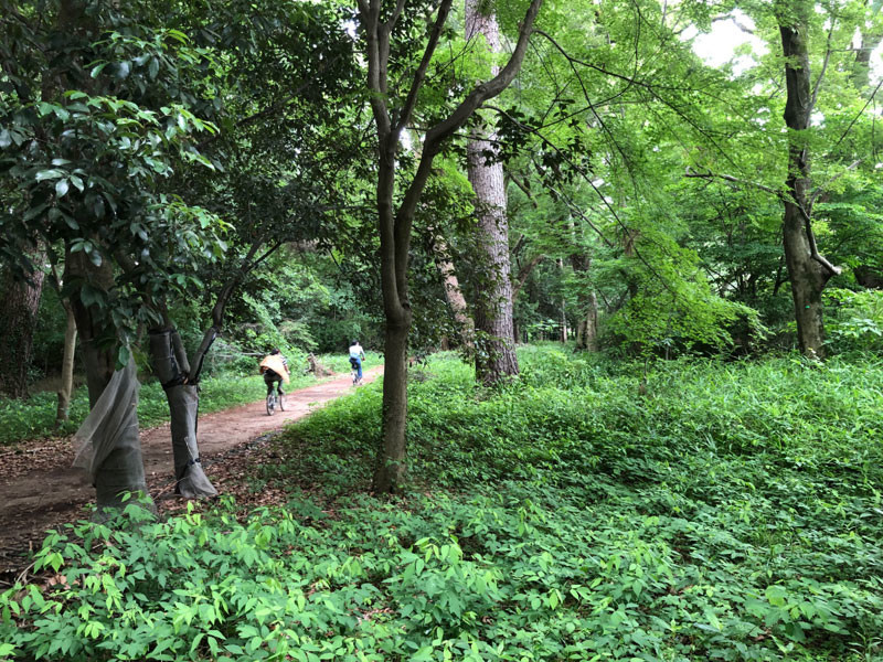 f:id:htym67:20190626094715j:plain f:id:htym67:20190626094715j:plain
