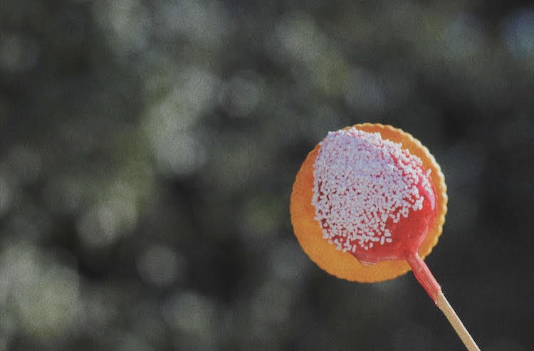 f:id:hu-maru:20190129164759j:plain