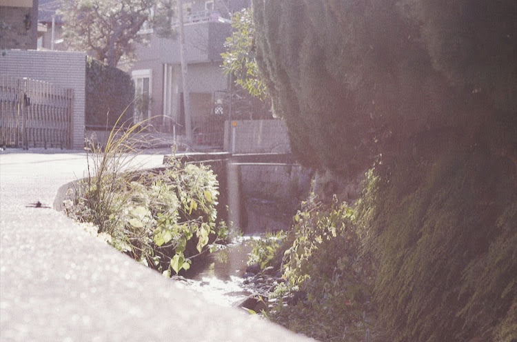 f:id:hu-maru:20190129165533j:plain