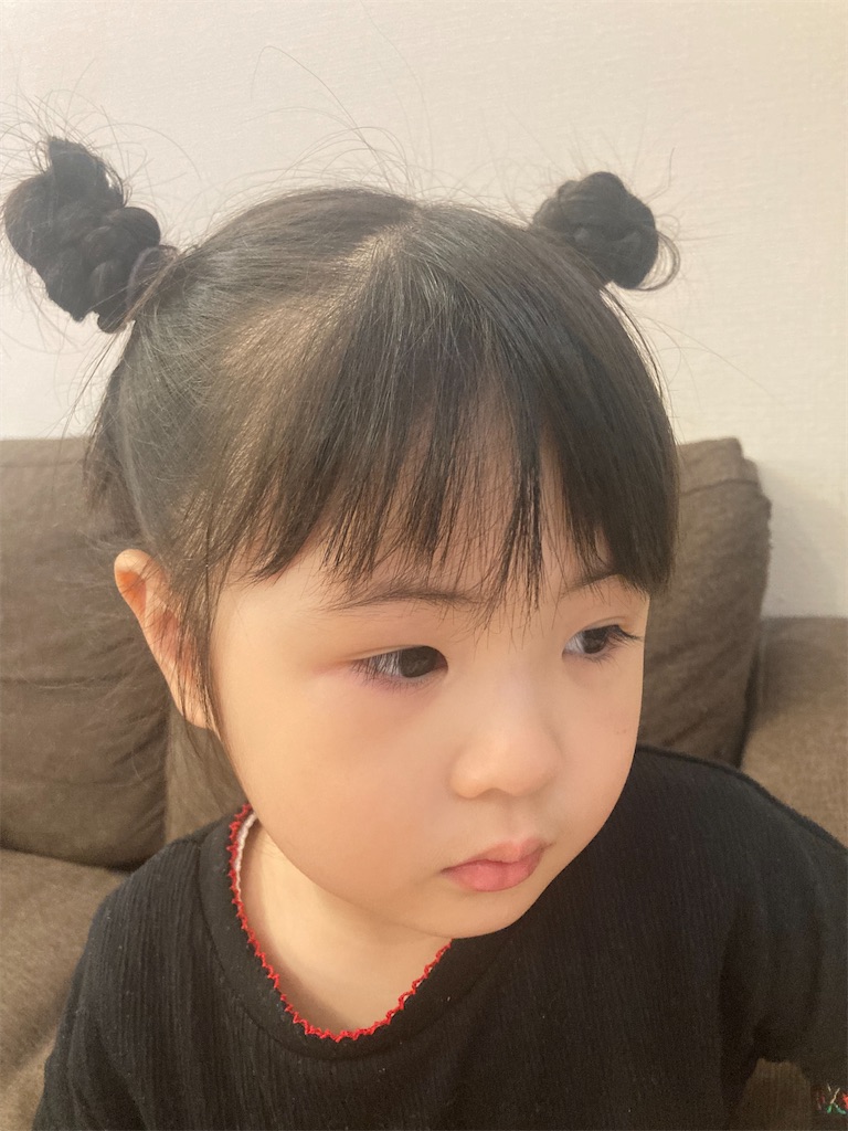 f:id:hu-papasan26:20250620195750j:image