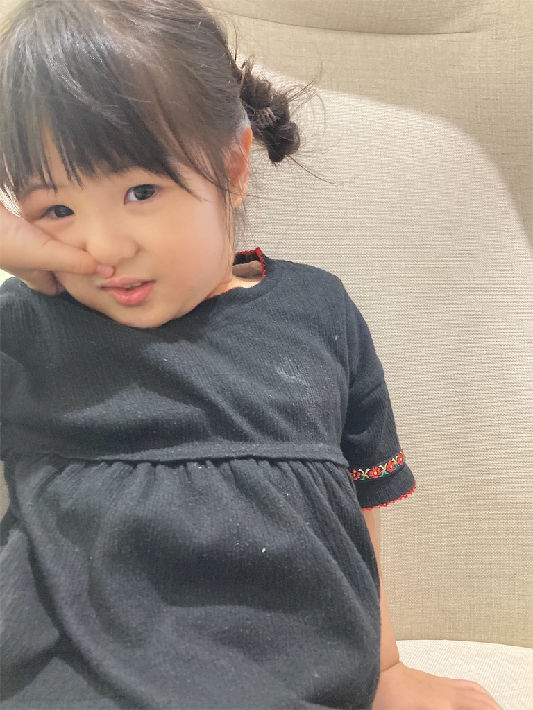 f:id:hu-papasan26:20250705225159j:image