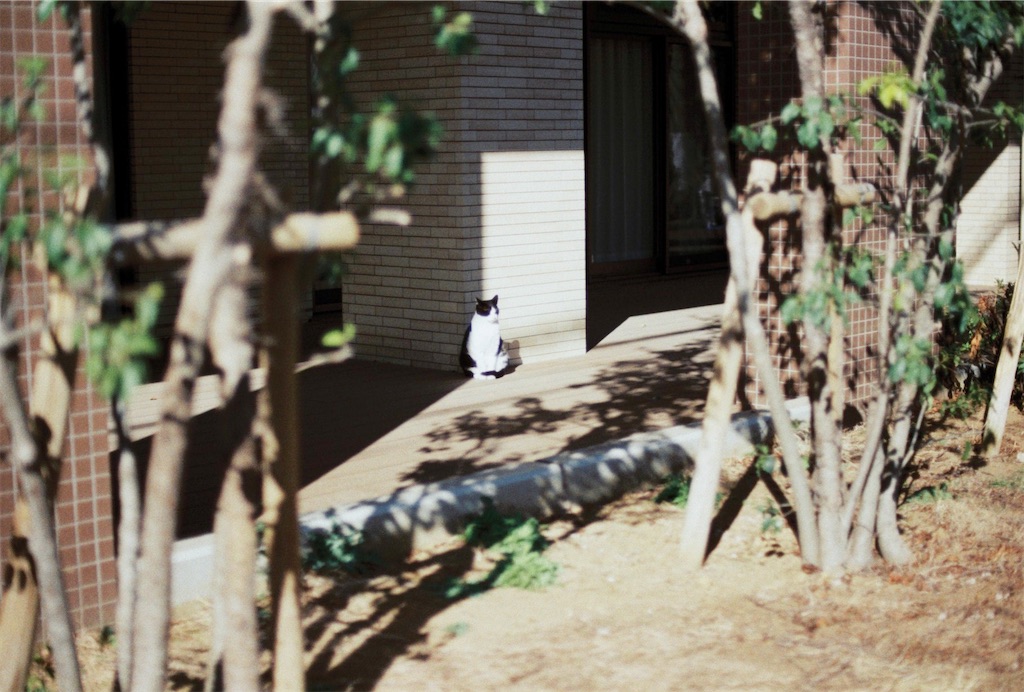 f:id:huankan:20240923095530j:image