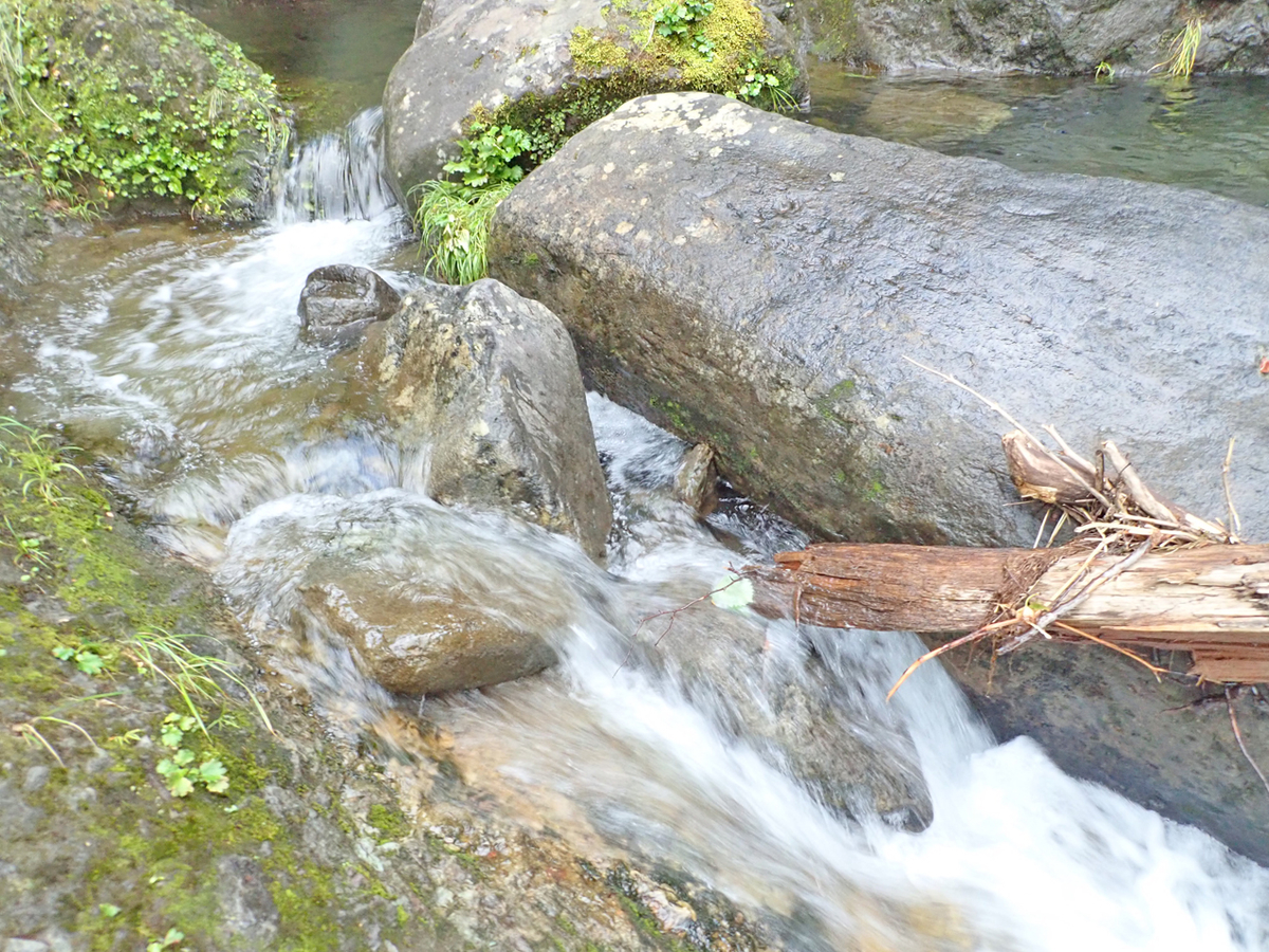 f:id:hudkass:20190820162357j:plain f:id:hudkass:20190820162357j:plain