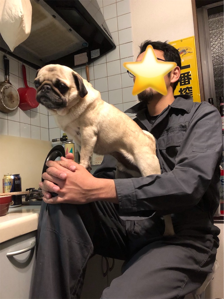 f:id:huginosk:20190406105856j:image f:id:huginosk:20190406105856j:image