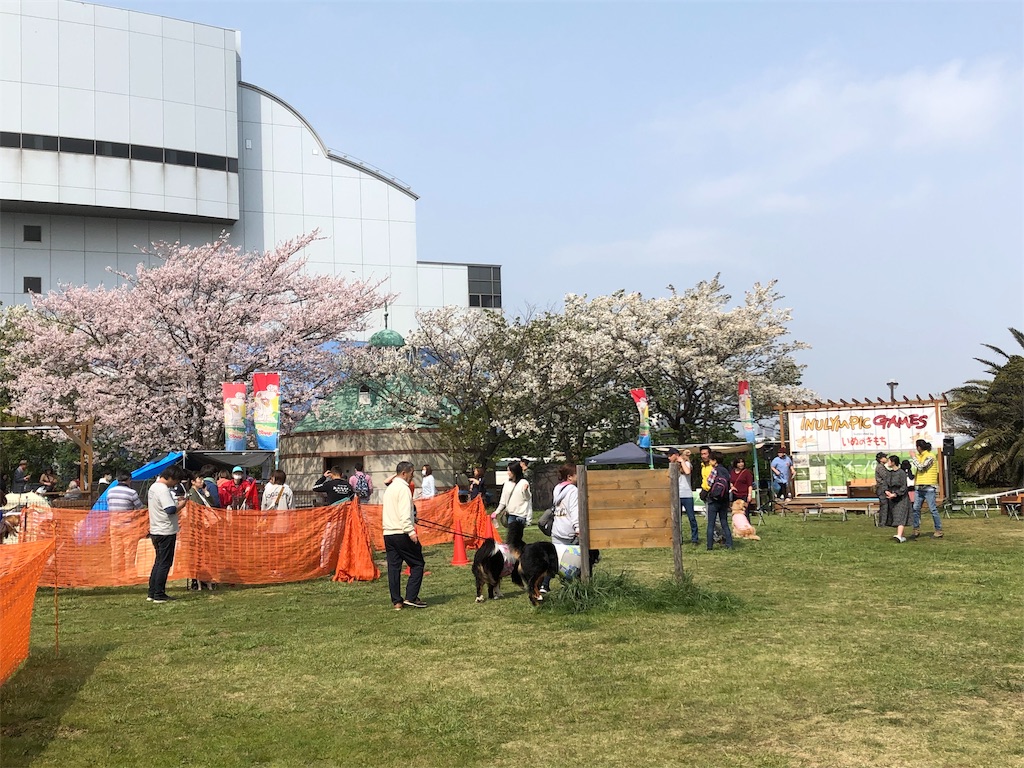 f:id:huginosk:20190418103221j:image f:id:huginosk:20190418103221j:image