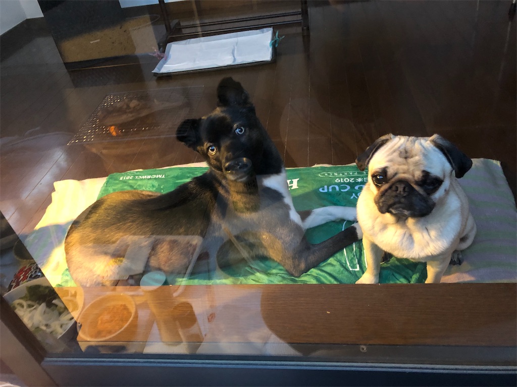 f:id:huginosk:20190418104625j:image f:id:huginosk:20190418104625j:image