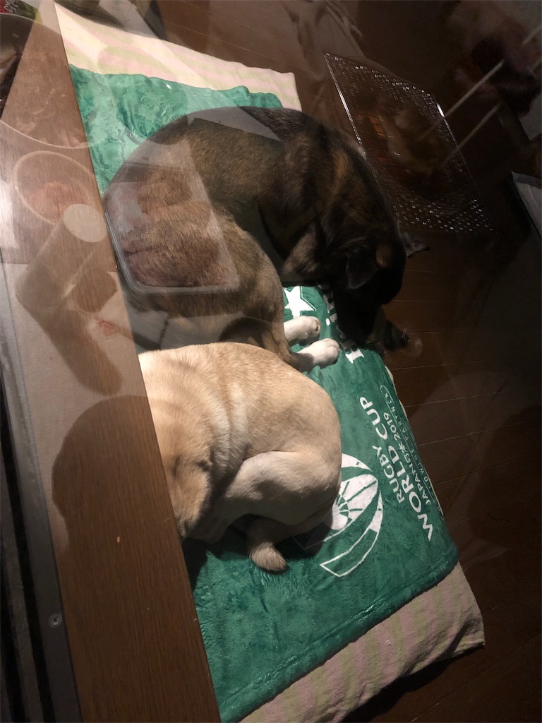 f:id:huginosk:20190418104631j:image f:id:huginosk:20190418104631j:image