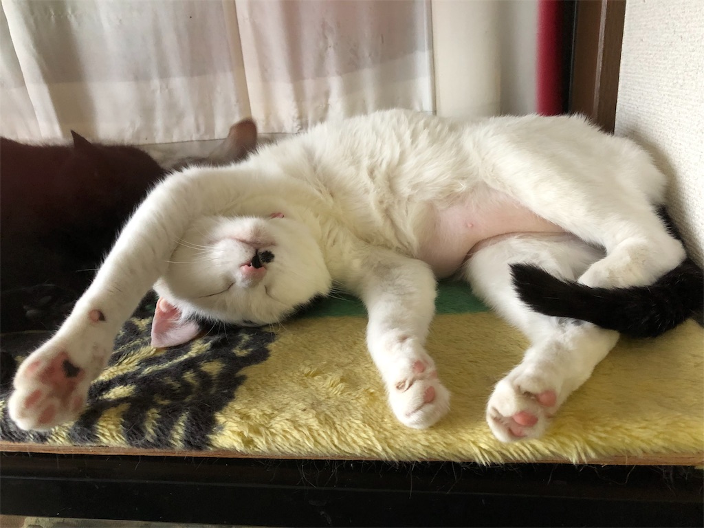 f:id:huginosk:20190502100844j:image f:id:huginosk:20190502100844j:image
