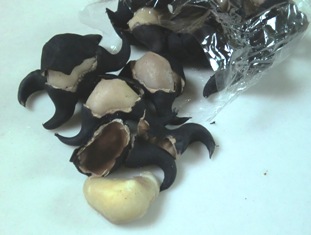 f:id:huguchi:20100911063659j:image