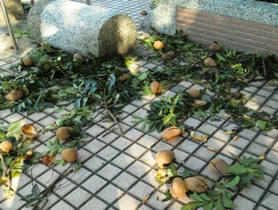 f:id:huguchi:20100921040226j:image