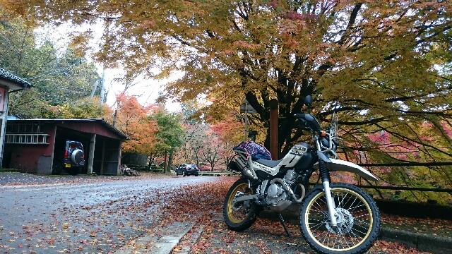 f:id:hui711:20171114111759j:image f:id:hui711:20171114111759j:image