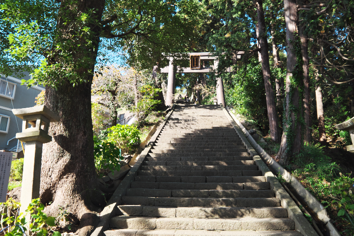 伊豆参道　鳥居前