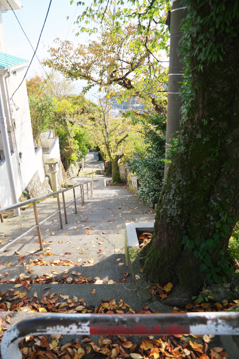 伊豆山参道　640段付近から見下ろす