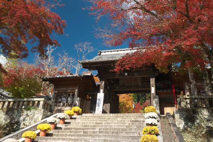 修禅寺山門