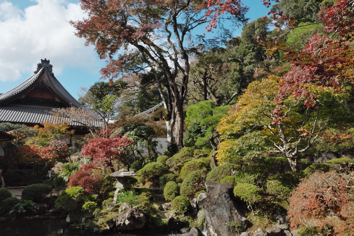 修禅寺庭園