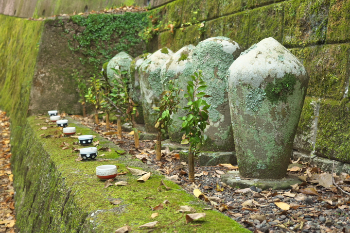 旭滝　歴代住職の墓標