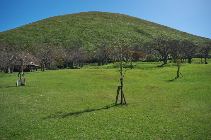 伊豆高原 さくらの里からの大室山