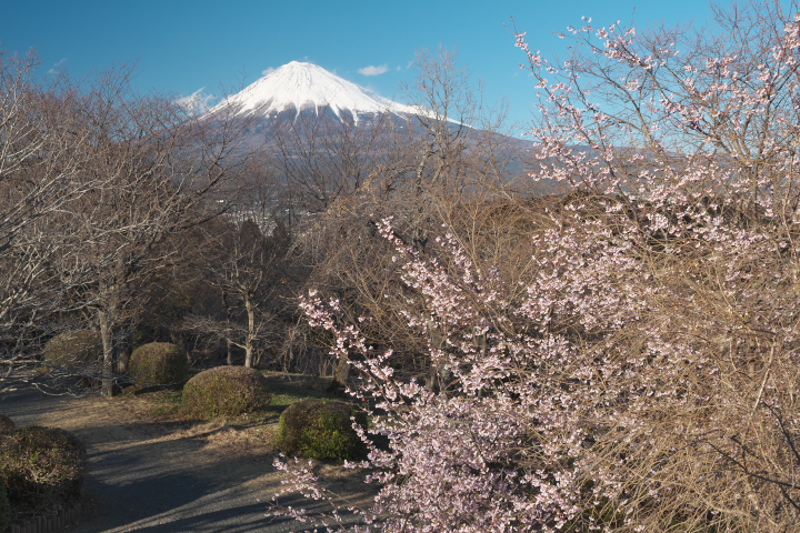 岩本山公園 山頂展望台 富士山方向