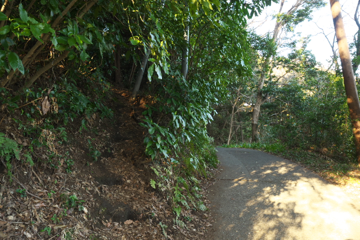 岩本山公園 山頂への近道入口