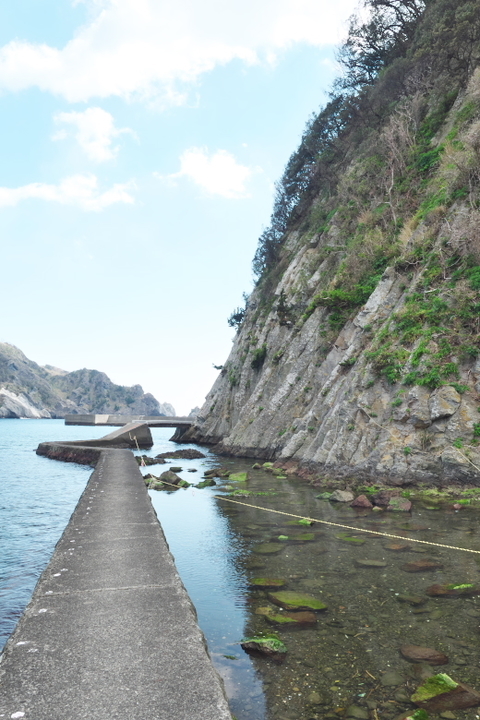 中木　トガイ浜に続く道